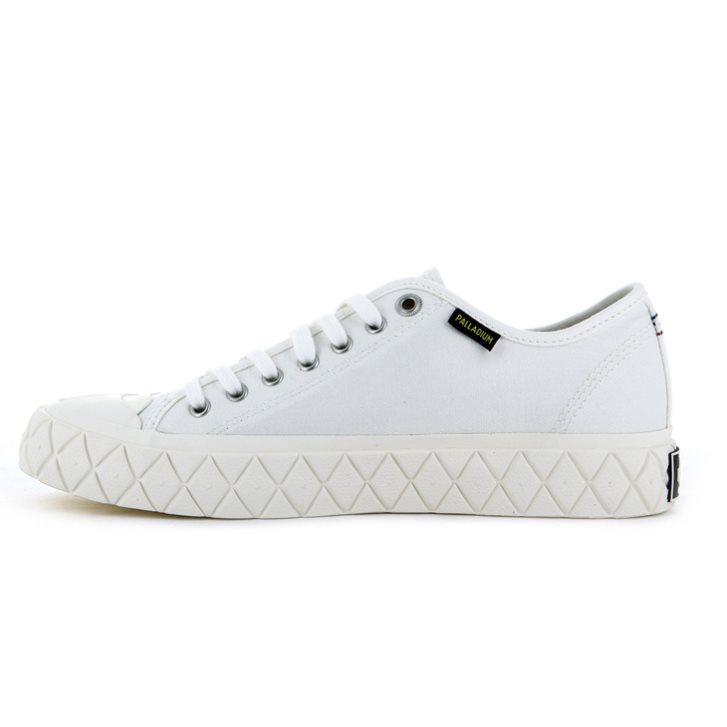 White Palladium Palla Ace Canvas Low Tops Women's Sneakers | ZA-732BFXK